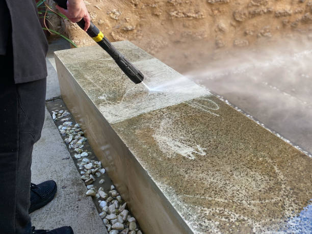 Best Deck Cleaning Services  in Rock Port, MO